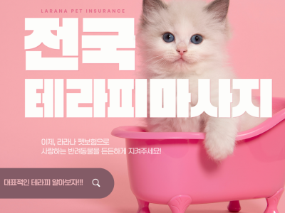 테라피란? 자세하게 알아보는 시간