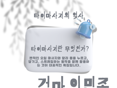 타이마사지란 무엇인가?